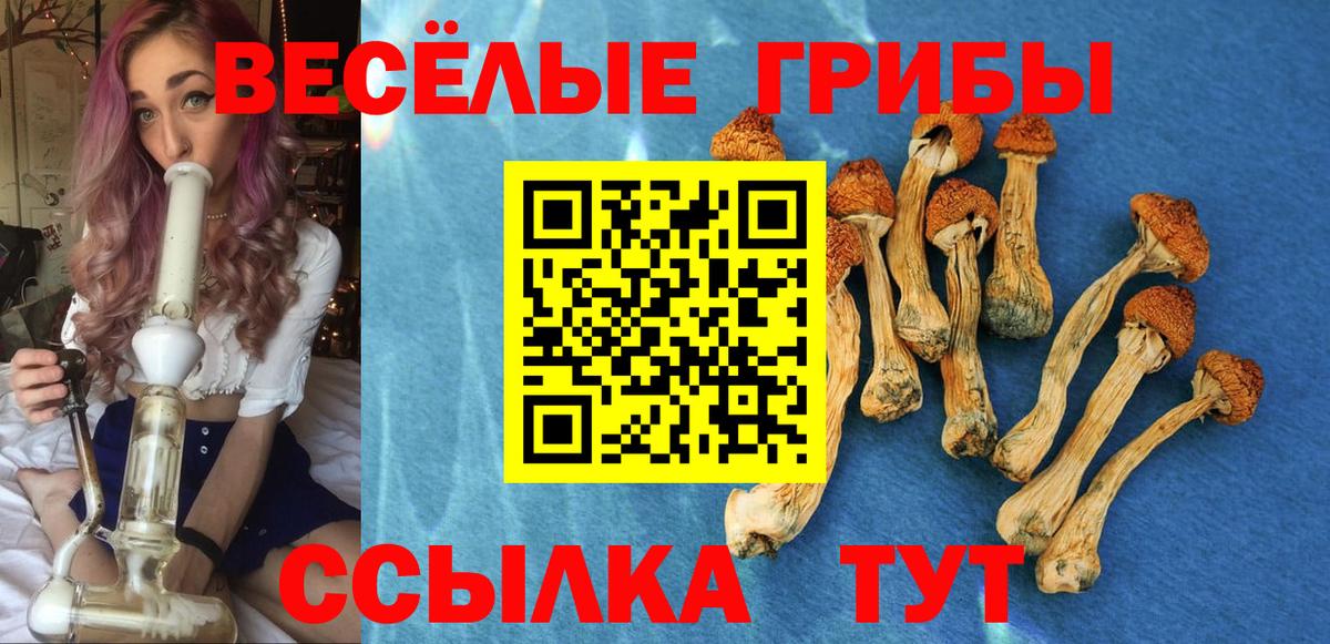 Псилоцибиновые грибы ЛСД Омск