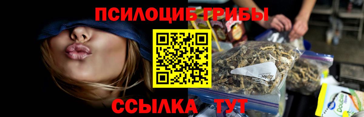 Омск  Галлюциногенные грибы Cubensis  Вход с VPN 